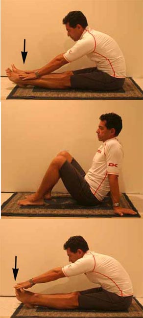 http://www.calema.com/forums/articles/stretching/leg2.jpg