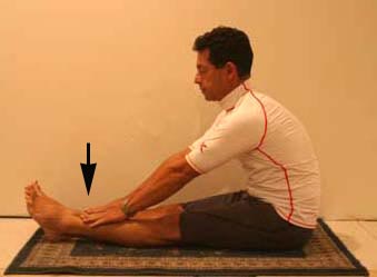 http://www.calema.com/forums/articles/stretching/stretch004.jpg